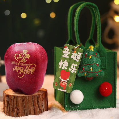 Christmas Gift Bag | Christmas Eve Holiday Gift Packaging
